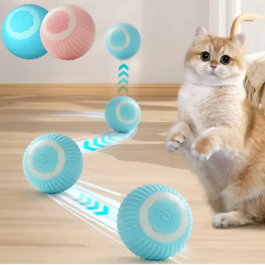 Jouets pour chats Balle interactive PetGreen