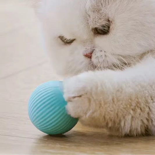 Jouets pour chats Balle interactive PetGreen